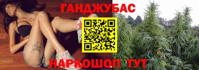 прущие грибы Новодвинск