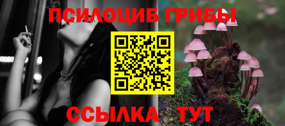 Нарьян-Мар  Галлюциногенные грибы ЛСД  Вход с VPN 